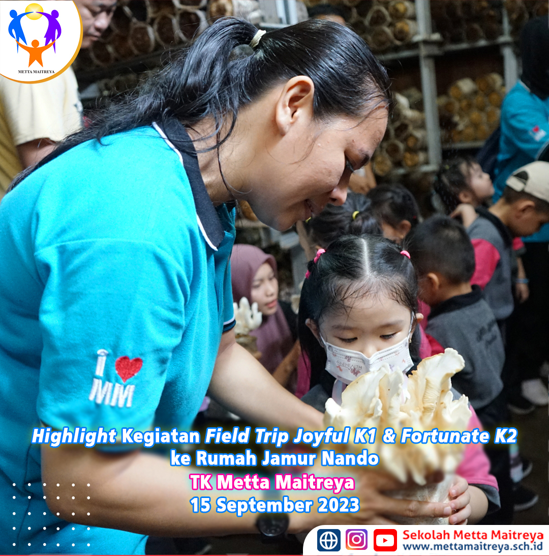 Highlight Kegiatan Field Trip Joyful K1 & Fortunate K2 ke Rumah Jamur Nando | PAUD METTA MAITREYA